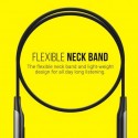 ZEBRONICS ZEB-LARK Bluetooth Headset  (Gray)