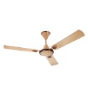 Rally Emerald 48 Inch 3 Blade Decorative Ceiling Fan 1200 mm
