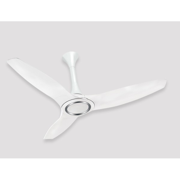 Rally Flair 48 Inch Glossy  3 Blade Premium  Ceiling Fan 1200mm