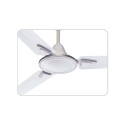 Rally Smart Deco Hi Speed   3 Blade Decorative Ceiling Fan 