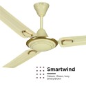 Rally Smart Wind  48 Inch 3 Blade Decorative Ceiling Fan 1200 mm