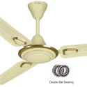 Rally Smart Wind  48 Inch 3 Blade Decorative Ceiling Fan 1200 mm