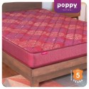 Poppy Premium Series Selene Tight Top Mattress (Single) 75x36x6
