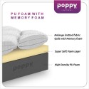Poppy PU Foam Series Siesta Euro Top Mattress (Double) 75x48x6