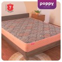 Poppy PU Foam Series Siesta Euro Top Mattress (Double) 75x48x6
