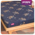 Poppy Rubberized Coir Series Access Mattress (Single) 75x36x 4