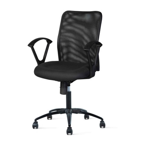 Evergreen LB 2027 Low Back Office Chair