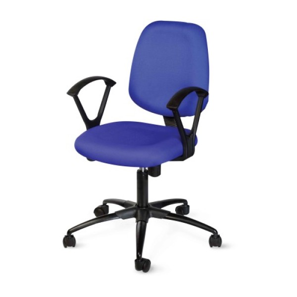 Evergreen LB 3015 Low Back Office Chair