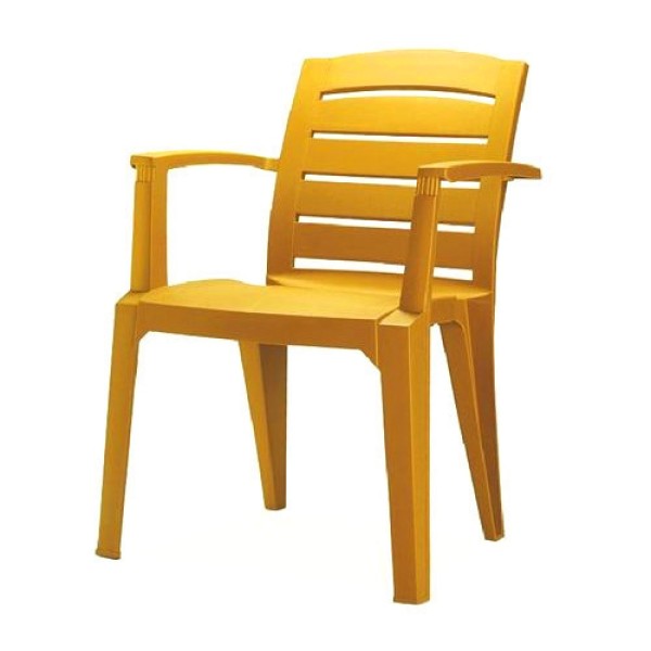 Nilkamal CHR 2135 Premium Chair with Arm