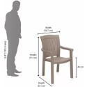 Nilkamal Umber Chair with Arm