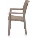 Nilkamal Umber Chair with Arm