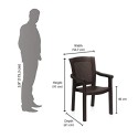 Nilkamal Urbana Chair with Arm
