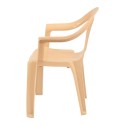 Supreme Plastic Monoblock Chair With Arm Emerald