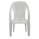 Supreme Regal Plastic Premium Chair With Arm 