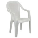 Supreme Regal Plastic Premium Chair With Arm 