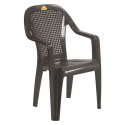 Supreme Regal Plastic Premium Chair With Arm 
