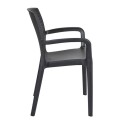 Supreme Texas Plastic Premium Chair With Arm 