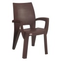 Supreme Villa Plastic Premium Chair With Arm 