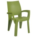 Supreme Villa Plastic Premium Chair With Arm 