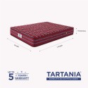 Peps Pocketed Tartania Single Size Spring Mattress 75x36x6