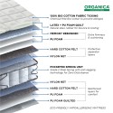 Peps Pocketed Organica Spring Mattress Double (75x48x8) 