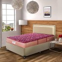 Peps Spring Koil Bonnell Double Size Spring Mattress 75x48x5