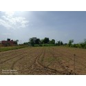 Farm Land in Puliampatti 3.5 Acres with Water தோட்டம்