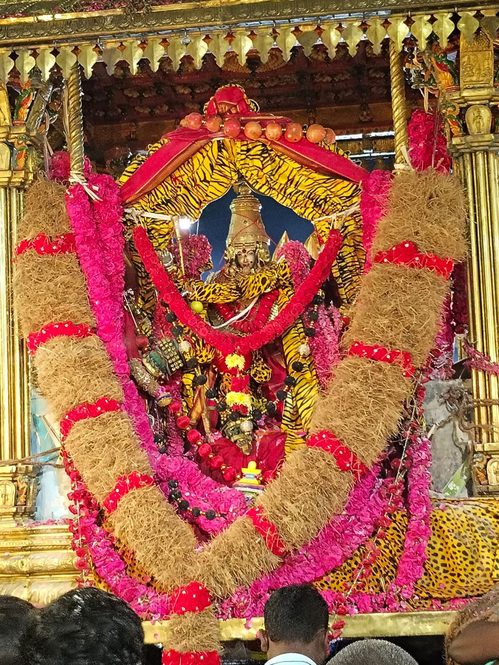 thiruchendur murugan shanmugar sigappu sathi siva amsam avani maasi months