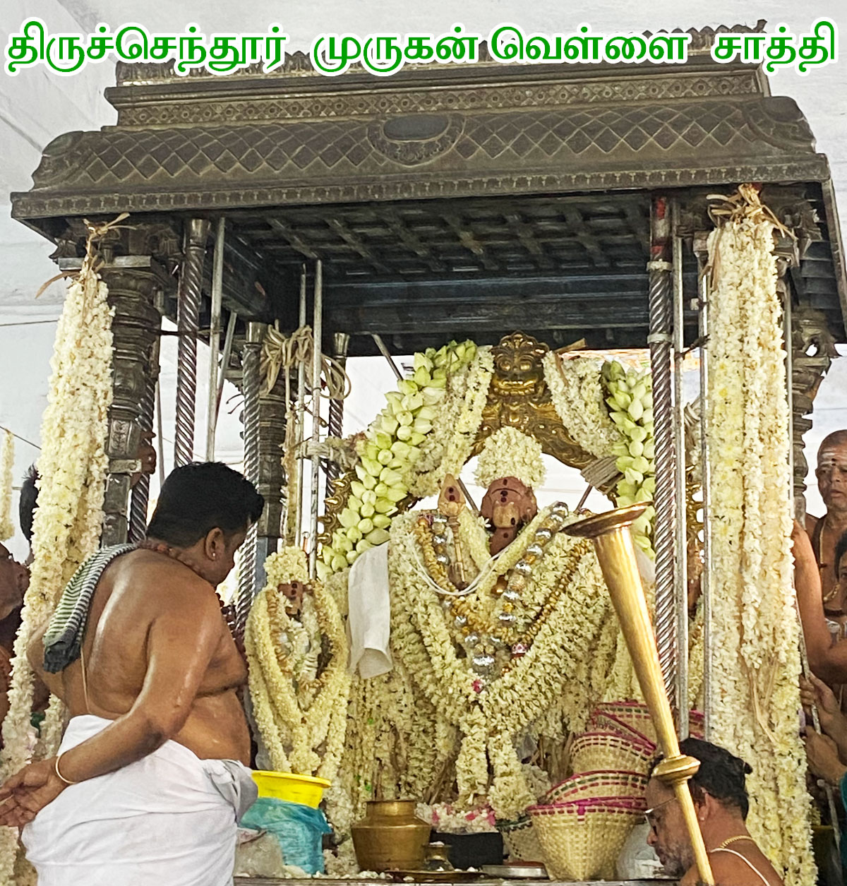 thiruchendur murugan shanmugar vellai sathi avani maasi months